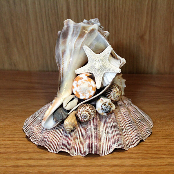Conch Shell Centerpiece