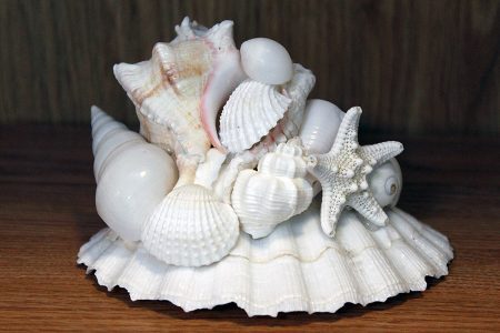 Beach Decor: Beach Wedding Centerpiece, Table Centerpiece, Nautical Decor Centerpiece, Beach Decor Centerpiece, Shell Centerpiece