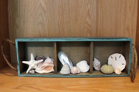 Beach Decor: Shadow Box, Beach Shadow Box, Shell Display Box, Beach Decor, Coastal Decor, Nautical Decor