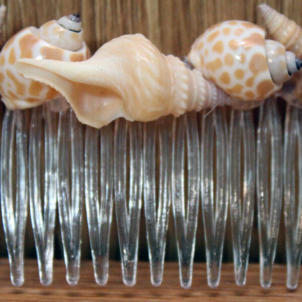 Shell Hair Comb