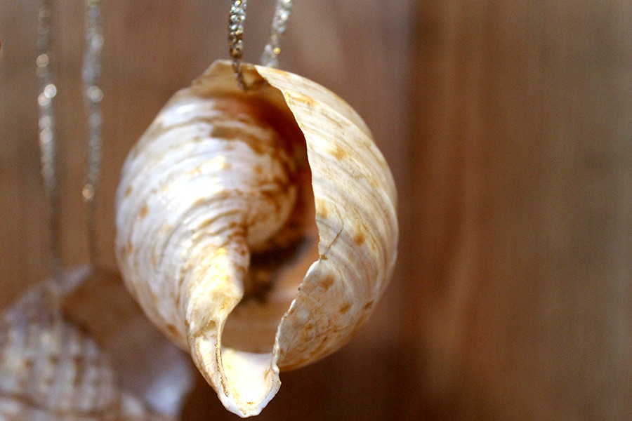 Shimmer Shell Ornament - Sea Treasure by Patrice