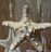 Beach Decor: Beach Decor Ornament, Nautical Decor Ornament, Coastal Decor Ornament, Starfish Ornament, Christmas Ornament