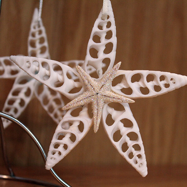 Starfish Shape Shell Ornament