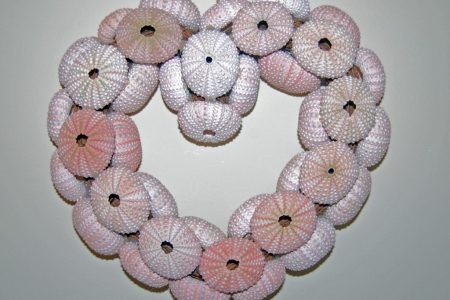 Sea Urchin Shell Wreath
